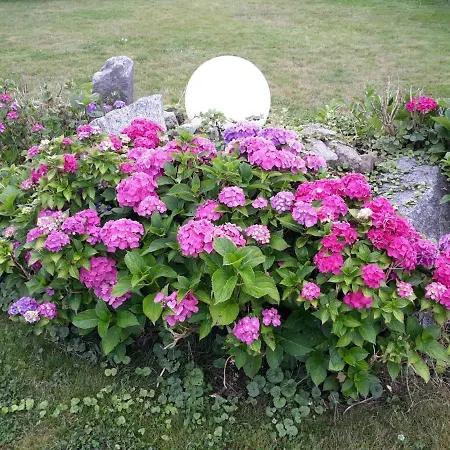 Appartement Vittebrook